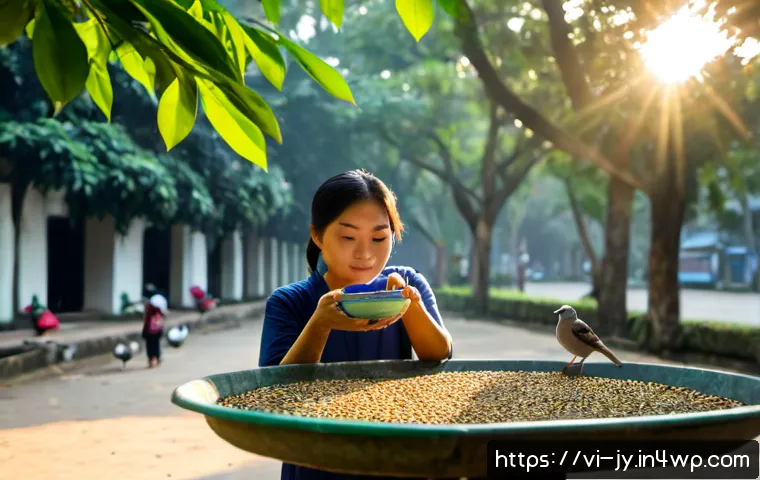 Home 17 도시에서의 야생 동물 먹이 제공 가이드 - Photorealistic early morning scene in a leafy Hanoi neighborhood park, a Vietnamese adult placing a ...